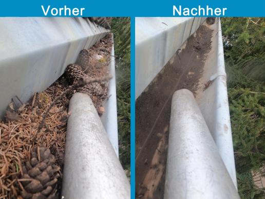 allesklar Gebaeudereinigung Dachrinnenreinigung  Regenrinnenreinigung Ludwigshafen